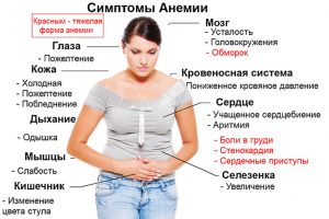 Цус багадалт | Эмийн ургамал судлалын төв