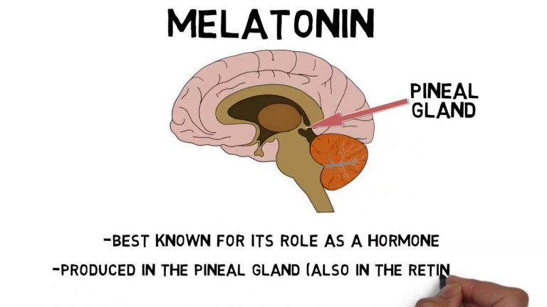Мелатонин (нойрны) даавар | Эмийн ургамал судлалын төв